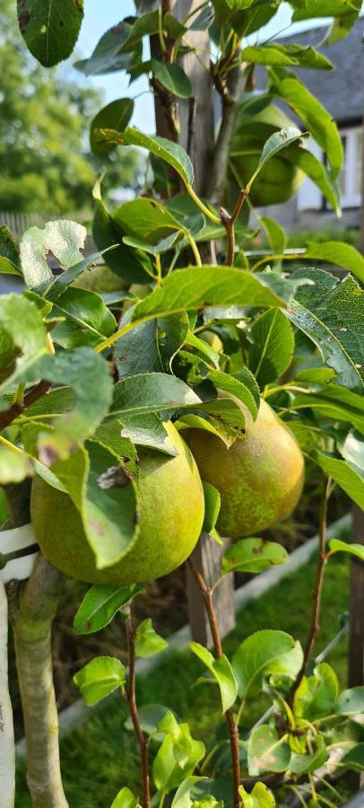 Gite La Petite Beurrerie des Ardennes Celles  Exterior foto