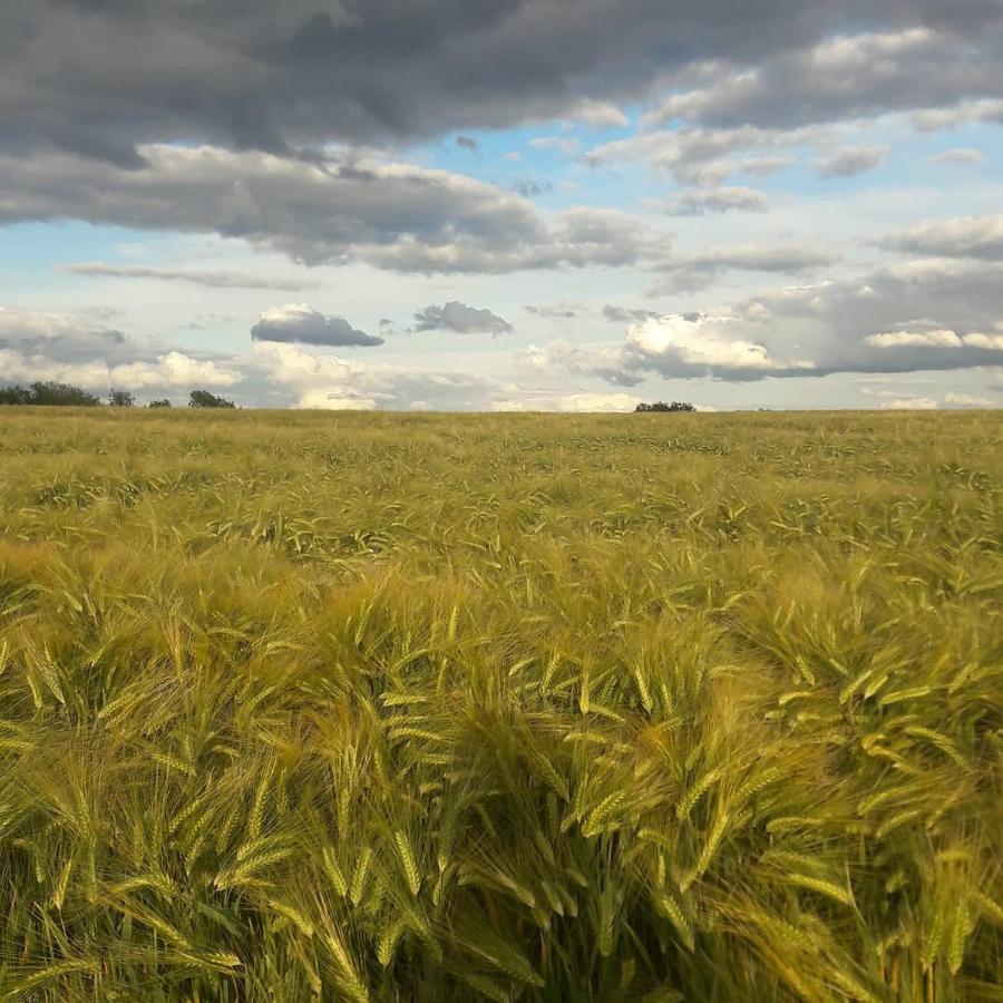Gite La Petite Beurrerie des Ardennes Celles  Exterior foto