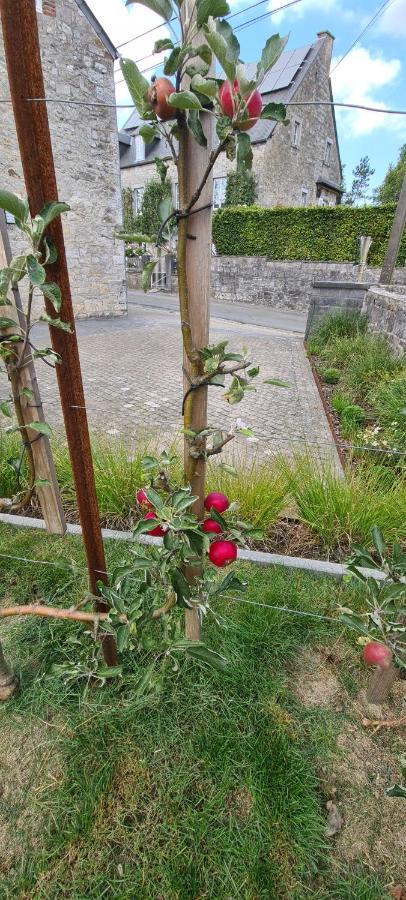 Gite La Petite Beurrerie des Ardennes Celles  Exterior foto